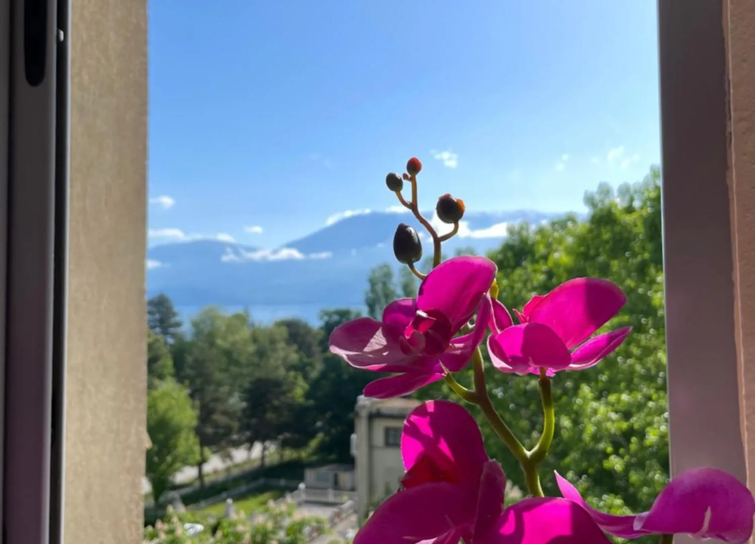 Lake View Pogradec 0*,